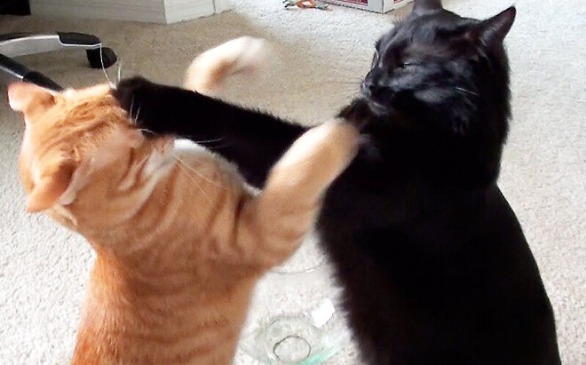 이거 그린라이트인가요?? (사진 유)