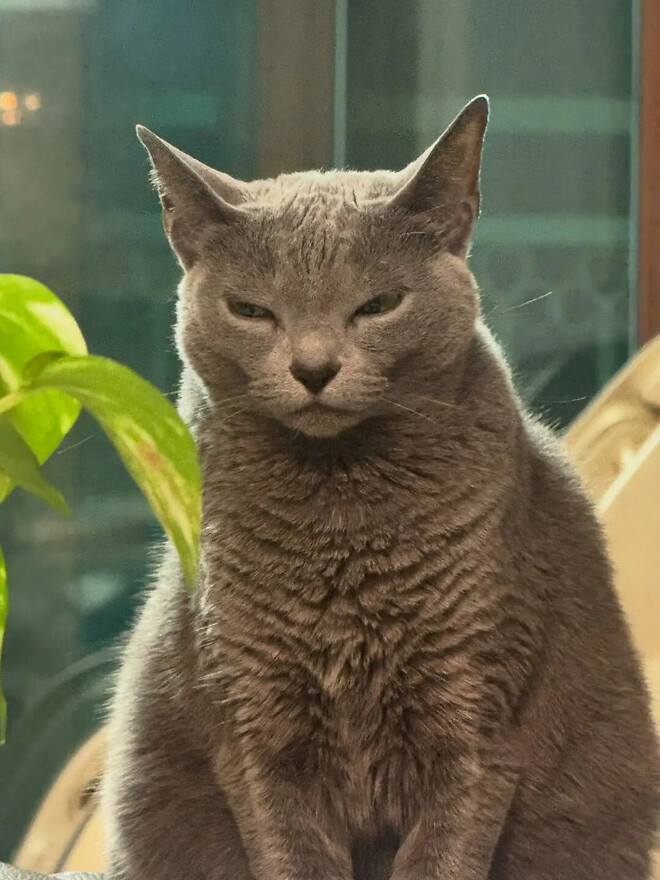 ITZY의 막내 유나