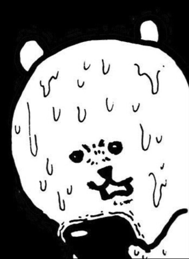 1년간 부엉이와 대화한 줄 알았던 아저씨들