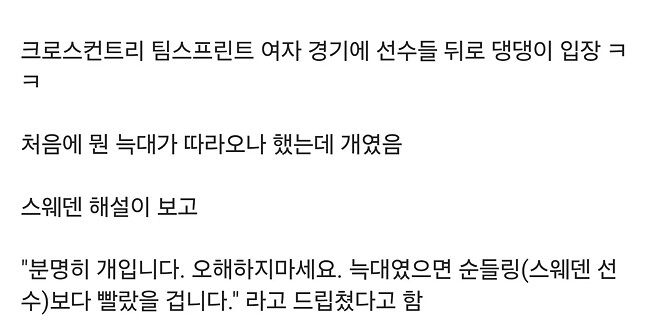 올림픽에 댕댕이 난입