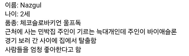 올림픽에 댕댕이 난입