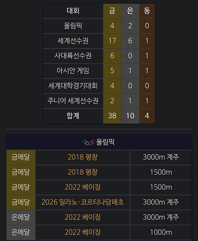 최민정과 왕멍 수상기록 비교