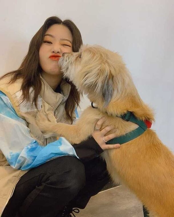 뽀뽀당한 강아지 반응 - 랭킹 Top 7