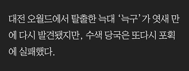 감시망을 뚫고 다시 달아난 늑구