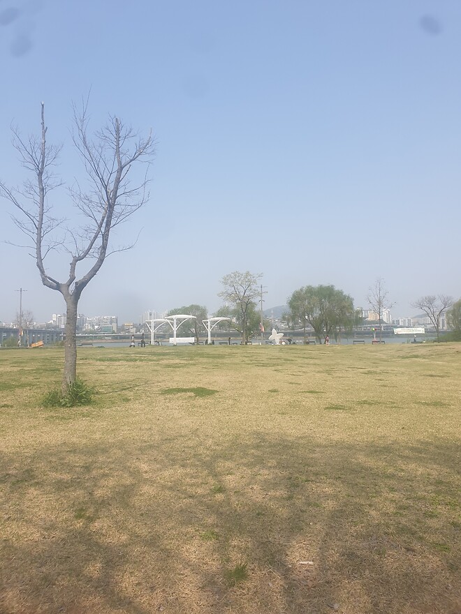 너무 졸린 나머지