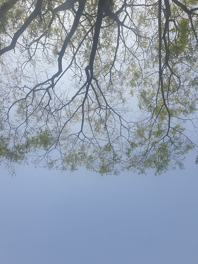 너무 졸린 나머지