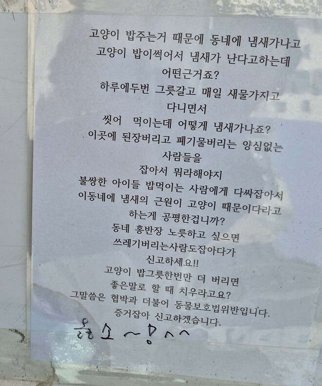 동네 캣맘의 경고