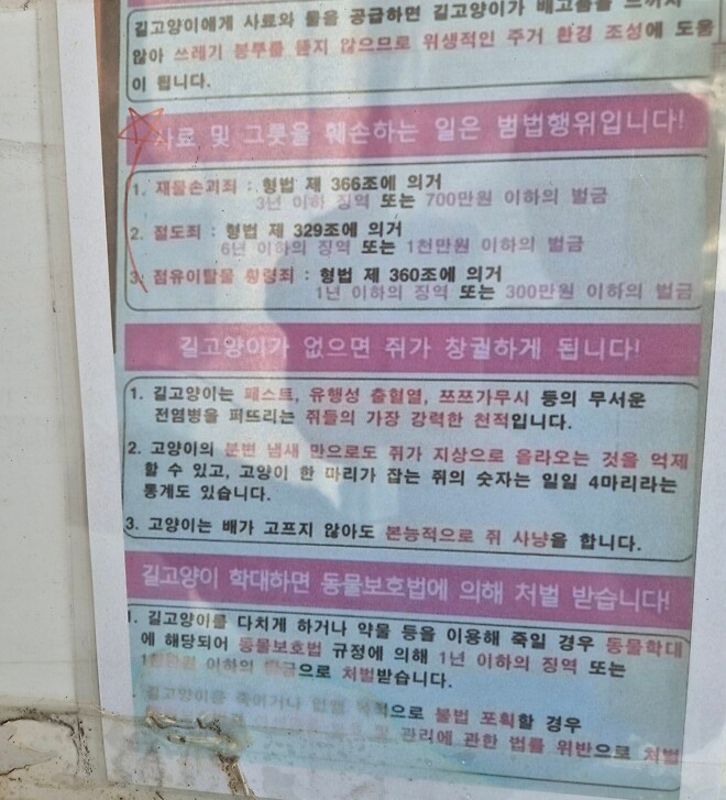 동네 캣맘의 경고