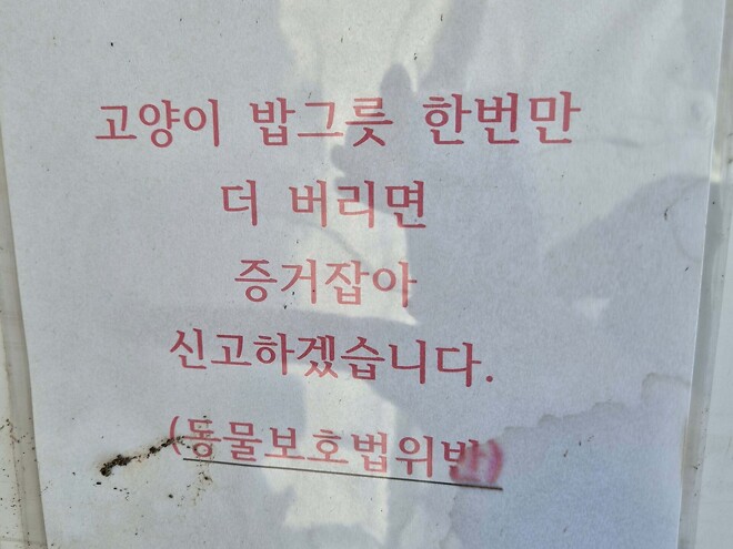 동네 캣맘의 경고