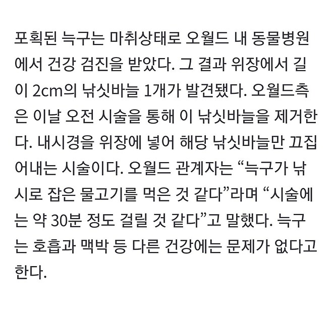 AI 늑구 돌아온 대전 오월드 풍경
