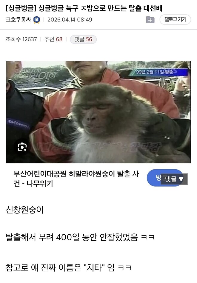 늑구 탈출은 단순 마실처럼 느껴지는 동물원 탈출계의 대선배