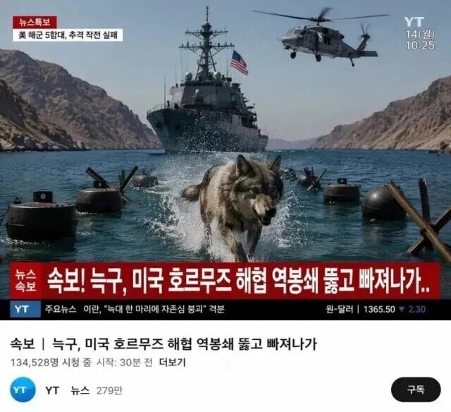 늑구의 9일간의 여정