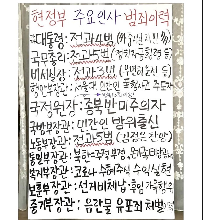 한 짤로 알아보는 지금 정부의 전과 이력