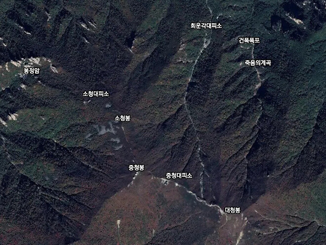 심심해서 써보는 신기한 사실들 10가지