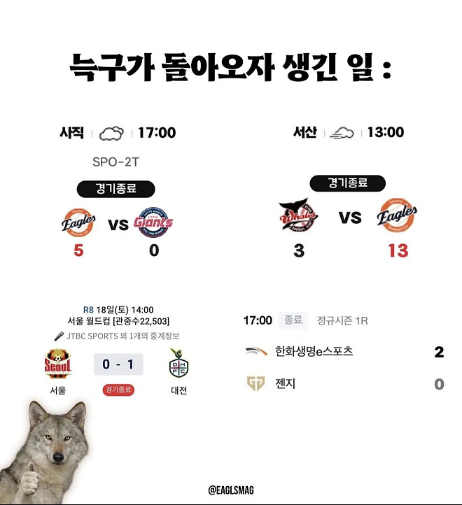 늑구가 돌아오자 생긴 일