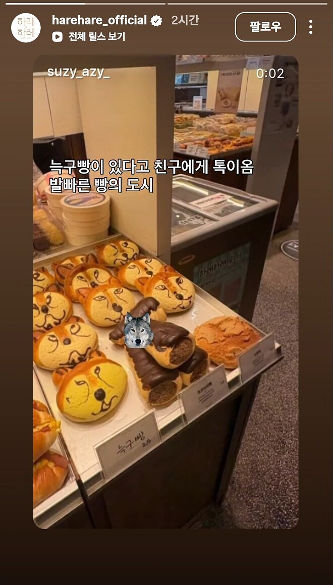 대전 늑구빵 등장