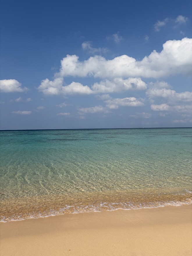 오키나와 여행 다녀왔습니다