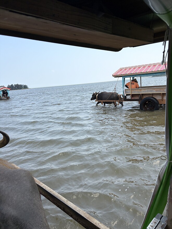 오키나와 여행 다녀왔습니다