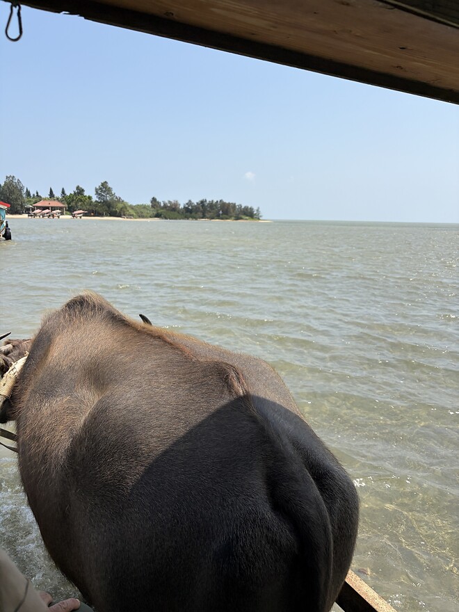 오키나와 여행 다녀왔습니다