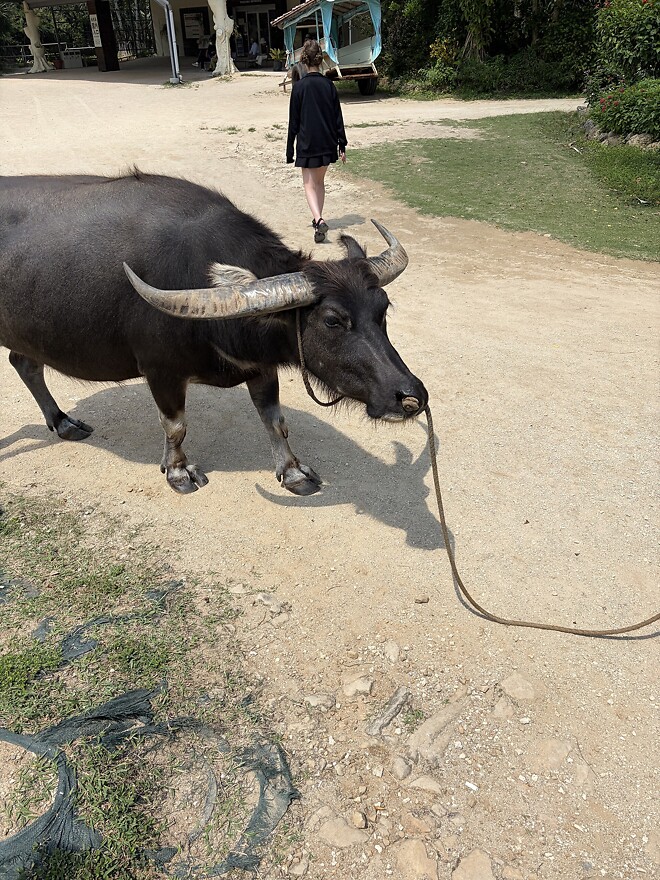 오키나와 여행 다녀왔습니다