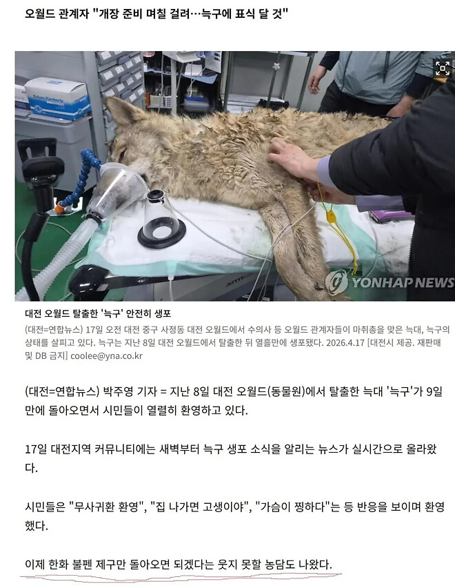 오늘의 관심사 : 늑구가 돌아온 한화의 성적은?