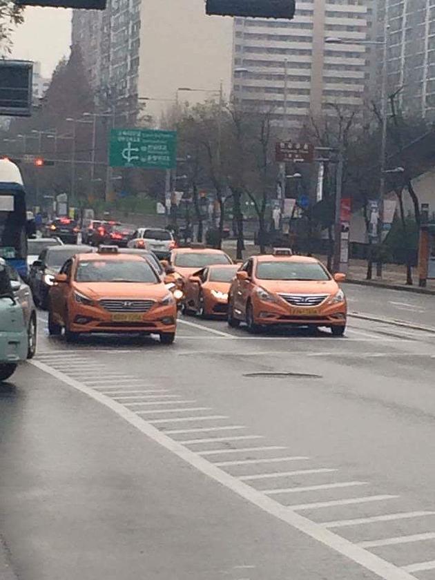 주황 주황 부왕 주황