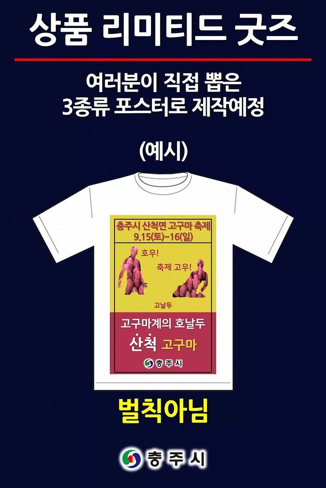 펌) 올해의 충주시 포스터 투표