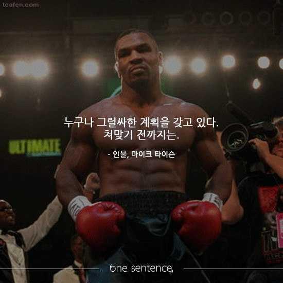 누구나 그럴싸한 계획을 갖고 있다. 쳐맞기 전까지는.jpg