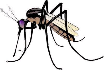 다운로드 (8).jpg