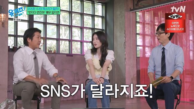 언니 콜렉터 임지연