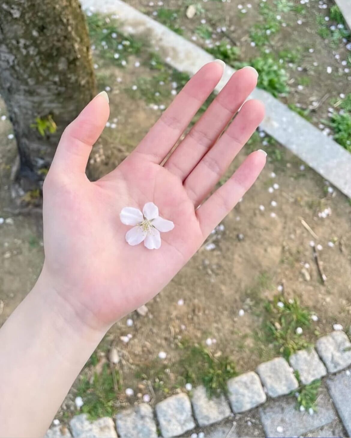 정다현 - 세리에매니아 자유게시판 게시판