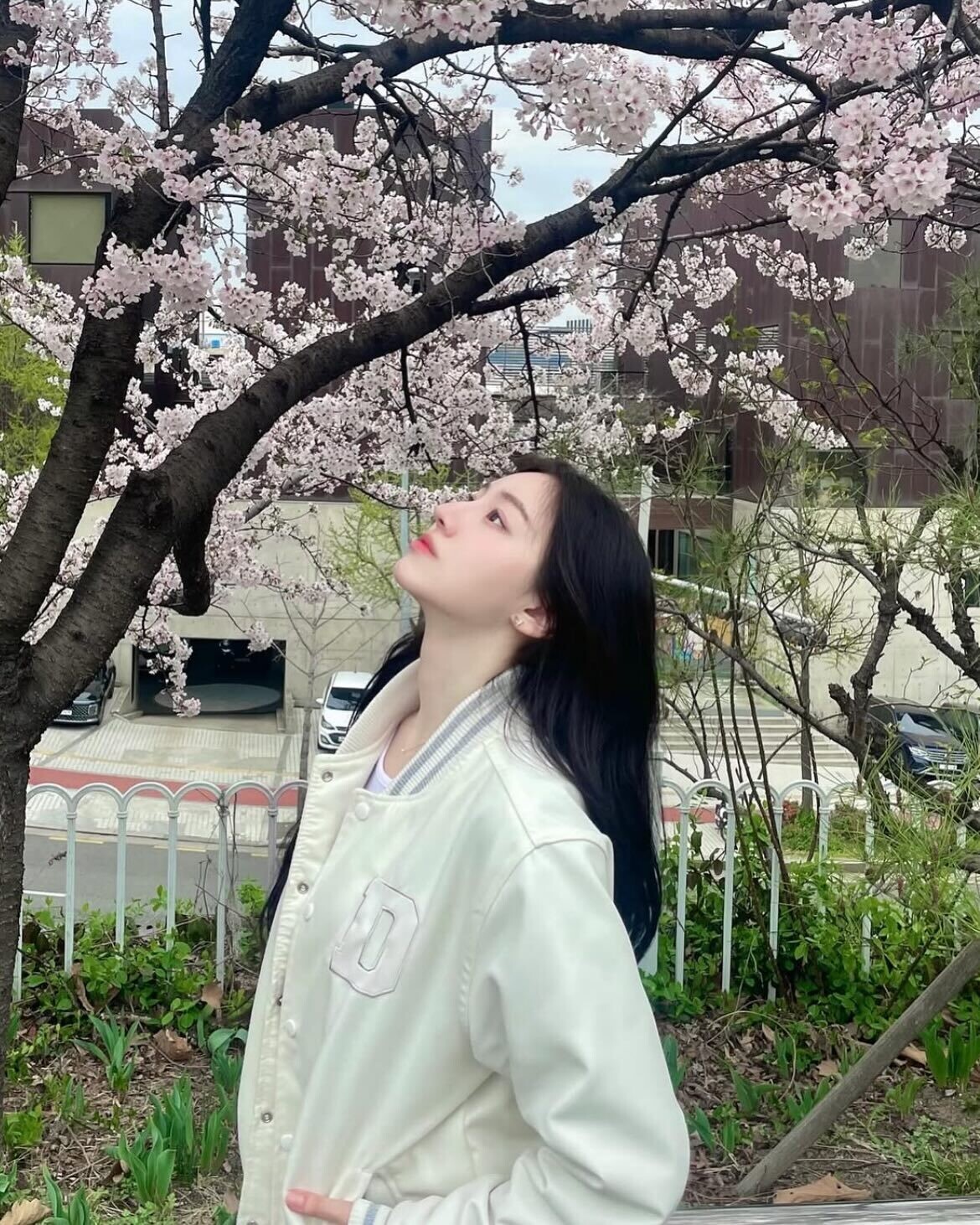 정다현 - 세리에매니아 자유게시판 게시판