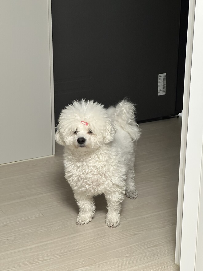 머리를 너무 길렀는데&hellip;