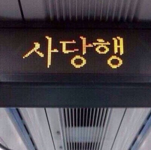 제가 진짜 횐님들