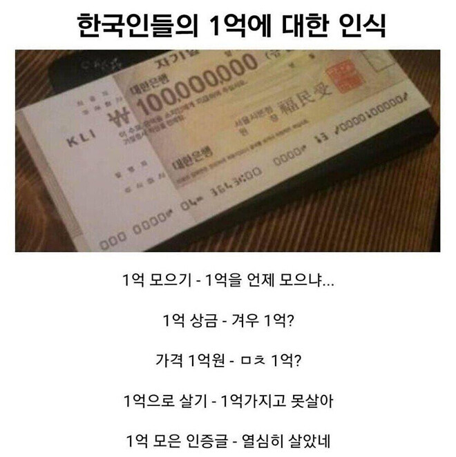 1억에 대한 한국인들의 인식.jpg