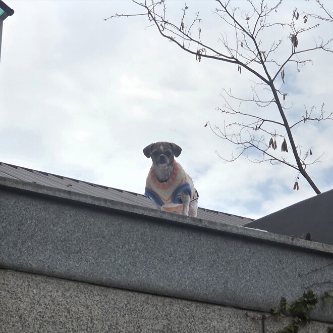 오늘 플러팅 당했네요