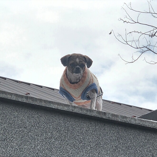 오늘 플러팅 당했네요