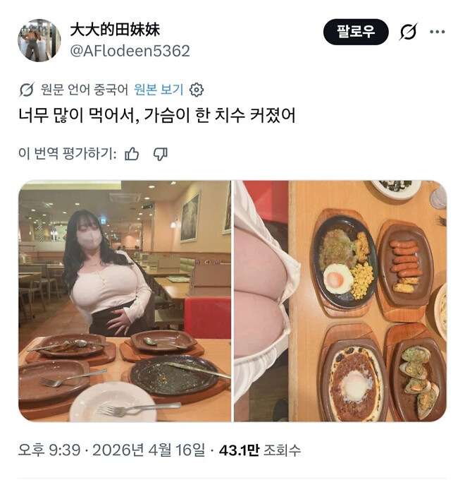 음식을 너무 많이 먹으면 안되는 이유