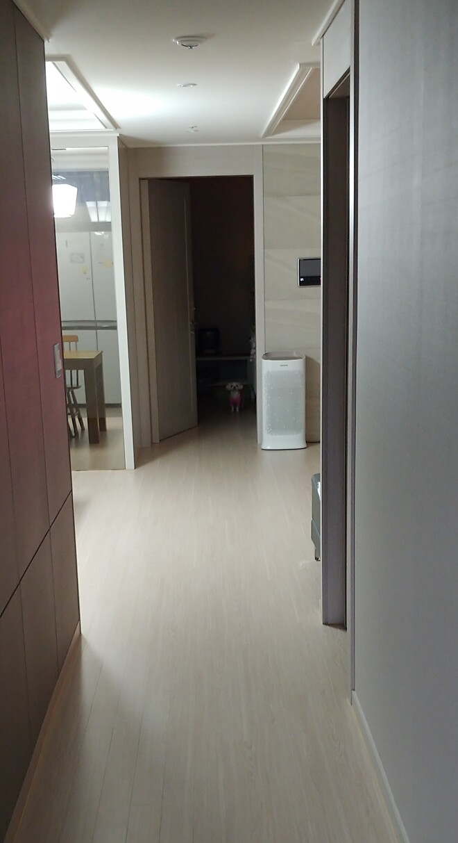 늦은 귀가로 산책 못간 날