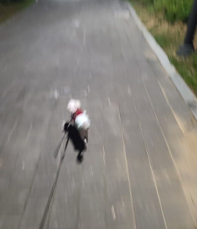 늦은 귀가로 산책 못간 날