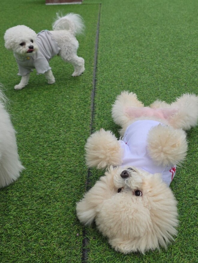 어디 내놔도 부끄러운