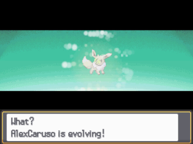 포키몬 아담실버(소울실버ㅎ) KING 의 이야기 5 (완)