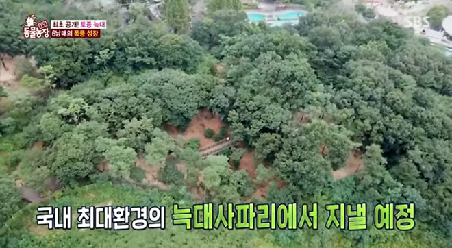 (더쿠펌) 충격적인 늑구네 가족 서식지 모습