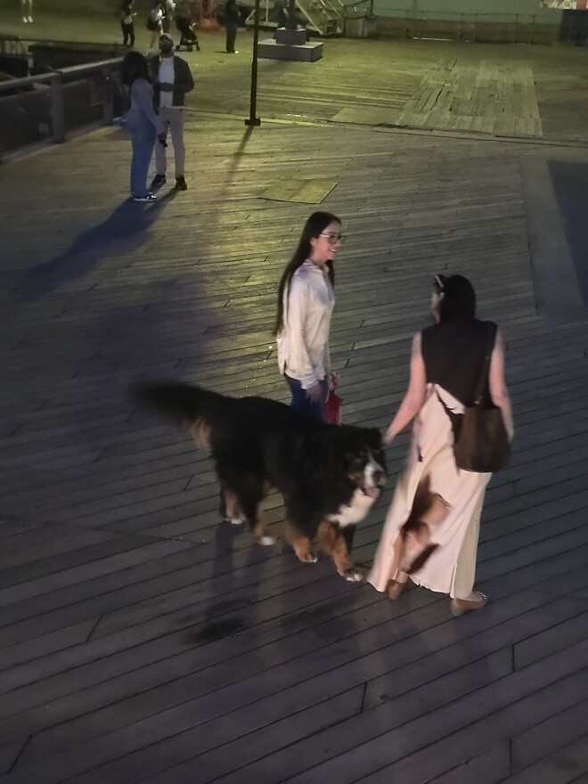 실시간 제 근황