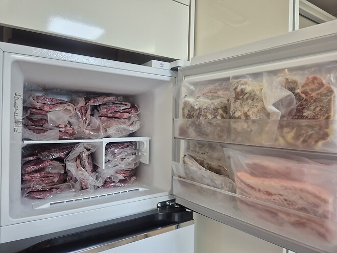 제 자취방 냉동고 근황