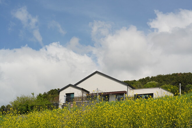 (스압)산책 다녀왔습니다