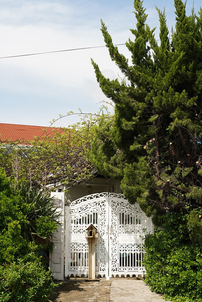 (스압)산책 다녀왔습니다