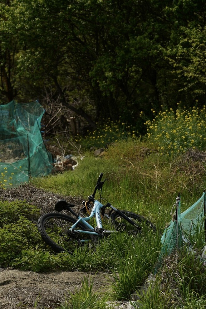 (스압)산책 다녀왔습니다