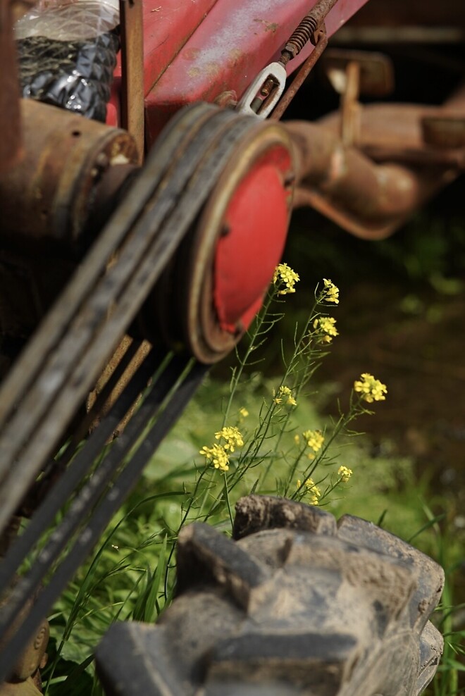 (스압)산책 다녀왔습니다