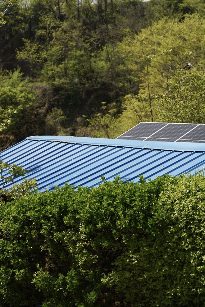 (스압)산책 다녀왔습니다